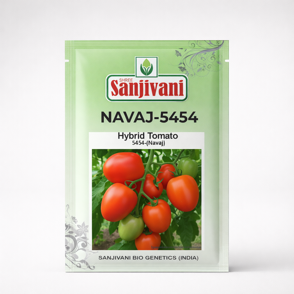 Navaj-5454 Hybrid Tomato Seeds (Long Round Type) | 5 gm